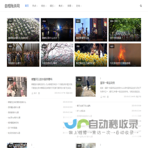 自相残杀网
