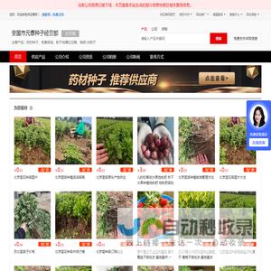 药材种子_免费咨询_射干桔梗红花等_柴胡 决明子 - 【安国市元泰种子经营部】