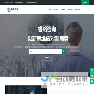 湖南睿略信息咨询-市场调研报告-市场分析报告-定制化咨询报告-睿略咨询