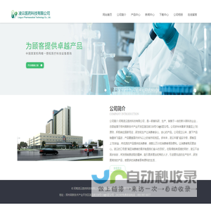 河南凌云医药科技有限公司
