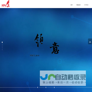 河南领意信息技术有限公司