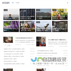 金风玉露网