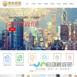 四川泽丰非融资性担保有限公司