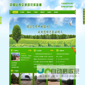 山西交城白皮松 - 交城县兄弟白皮松科技开发有限公司|兄弟苗圃|山西交城县兄弟苗圃|交城白皮松|交城兄弟苗圃|苗圃|绿化|松树|山西交城白皮松