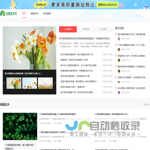 青伊湖绿化苗木种子合作社-批发销售林木,草坪,牧草,草本花卉种子