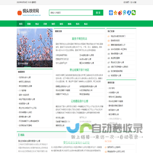 铜头铁臂网