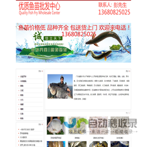 河源鱼苗场河源鱼苗批发市场 13680825025 紫金鱼苗场紫金苗批发市场
