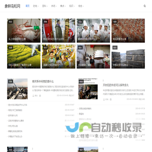 象耕鸟耘网
