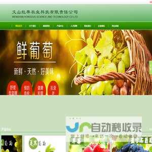 文山红果农业科技有限责任公司｜红果农业｜红果葡萄｜葡萄销售｜紫葡萄-文山红果农业科技有限责任公司|红果农业|葡萄批发零售