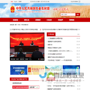市场与信息化司