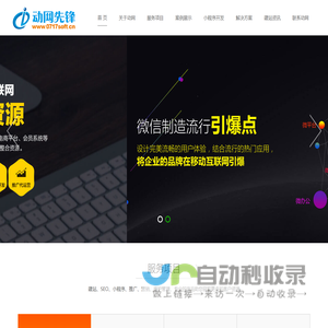 网站建设_小程序开发_全网seo优化_湖北动网先锋信息技术有限公司