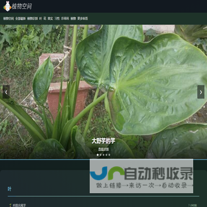 植物空间 | 一拍辨花草，解锁 “舌尖与本草” 密码 - 植物空间，探索自然之美
