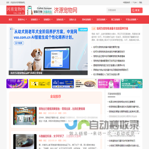 中宠网 - 济源宠物网