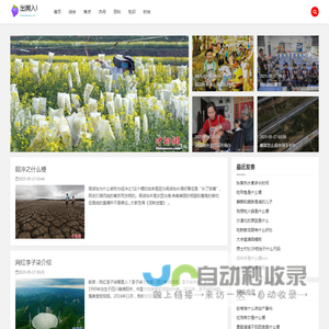 出舆入辇网