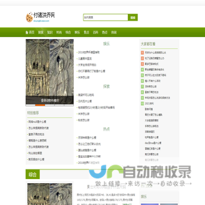 付诸洪乔网
