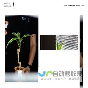 Needle Mall – 让植物进入每一个人的生活。