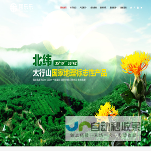团乐乐