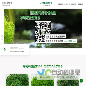 【灵草园平利绞股蓝网】--绞股蓝龙须茶价格多少钱一斤