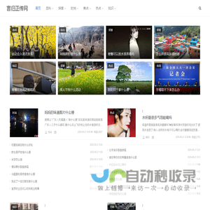 言归正传网