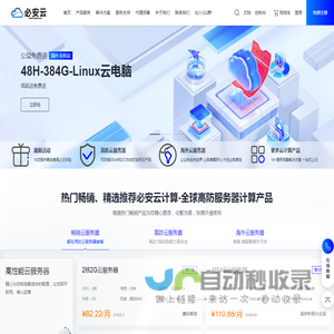 必安云-专业云计算服务提供商-高效稳定的服务器租用与托管服务-必安云计算（云南）有限公司_必安云计算-全球高防服务器