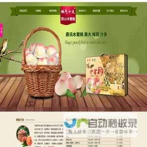 阳山水蜜桃_桃树苗_无锡阳山水蜜桃苗-唐氏果园