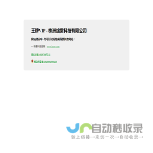 王牌VIP - 株洲络需科技有限公司