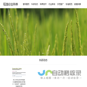 稻渔综合种养