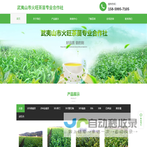 武夷山市火旺茶苗专业合作社