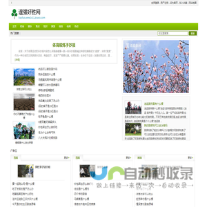 逞强好胜网