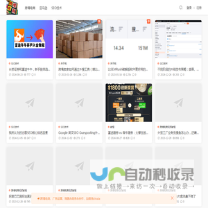 跨境电商 - 独立站SEO推广