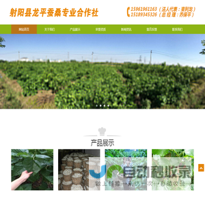 射阳县龙平蚕桑专业合作社