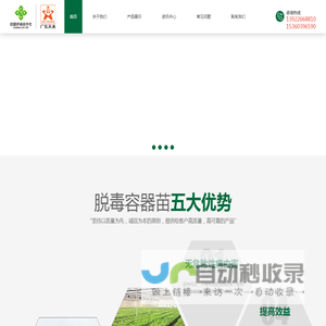 广东天禾种苗首页
