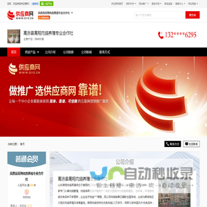 特种珍禽 - 【高唐县高翔肉鸽养殖专业合作社】