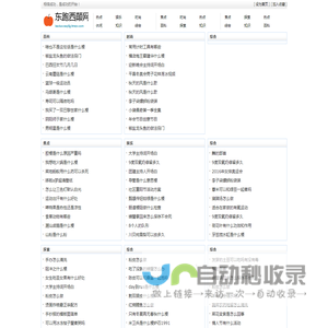东跑西颠网
