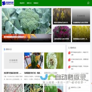 花芭莎-植物大全/办公室绿植租赁/盆栽花卉租摆