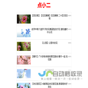 莱特号-靠谱的生活知识平台