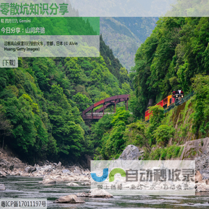 零散坑知识分享