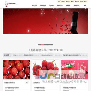【杨梅酒】杨梅酒的功效和作用_杨梅酒的做法_温州杨梅酒