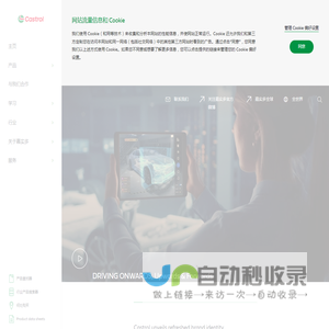 嘉实多中国
