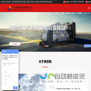 广东莱恩斯实业有限公司 - 广东莱恩斯实业有限公司