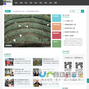 高高在上网