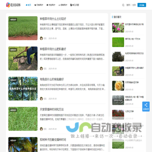 月季苗木批发基地_园林绿化苗木价格_花田园林