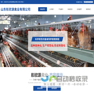 山东彤欣源禽业有限公司-蛋鸡养殖，蛋鸡销售