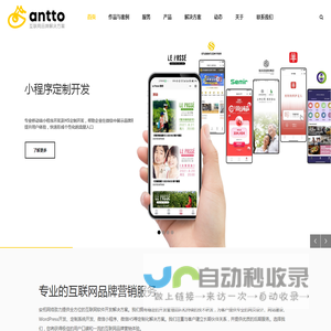 网站开发_网站建设_上海Wordpress开发_小程序开发_H5制作_系统定制开发-安拓网络