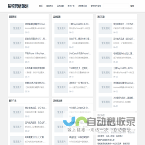椿稽营销策划