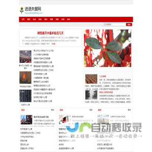 进退失据网