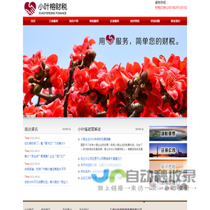 南沙代理记账/南沙地址挂靠/无地址注册公司-广州小叶榕工商代理记账公司