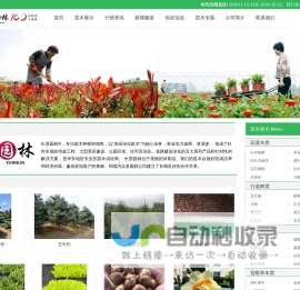 [长景园林] 苗木批发基地-绿化公司-提供苗木报价-品种名称图片查询-三点水商贸