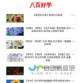 八百好学 - 知识的宝库