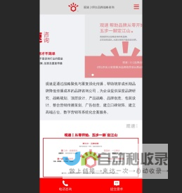 品牌战略咨询_营销策划_设计-观速（上海）文化创意有限公司